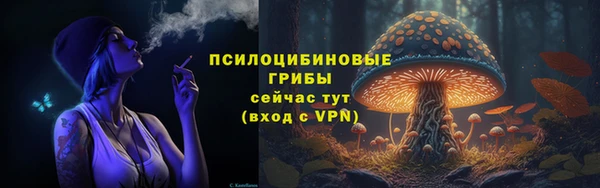 ECSTASY Алексеевка