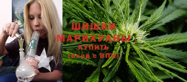бошки Алзамай