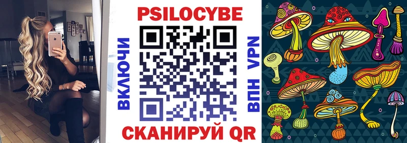 MEGA как зайти  Шахты  Псилоцибиновые грибы мицелий 