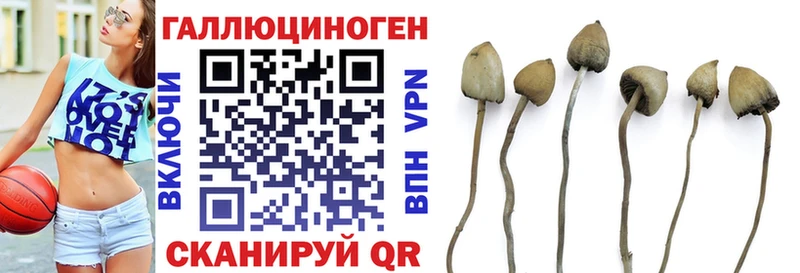 Псилоцибиновые грибы мицелий Шахты