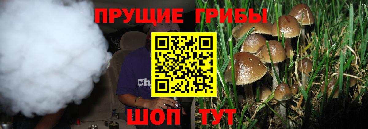 Шахты  Галлюциногенные грибы мицелий  Галлюциногенные грибы мухоморы  Вход с VPN 